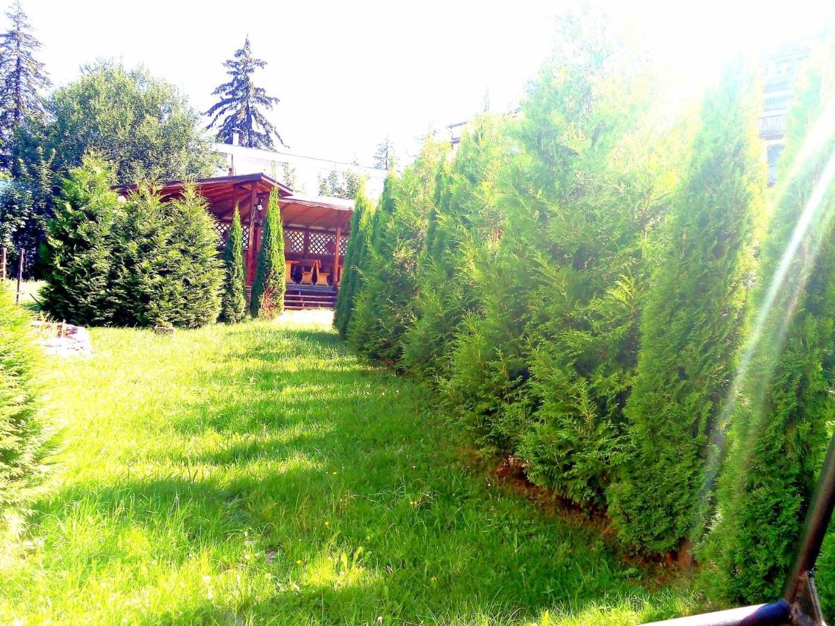 Hotel Miraj - Restaurant & Sauna & Biliard Poiana Brașov Zewnętrze zdjęcie
